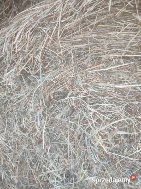 Siano Słoma sianokiszonka 120x120 Biała Podlaska