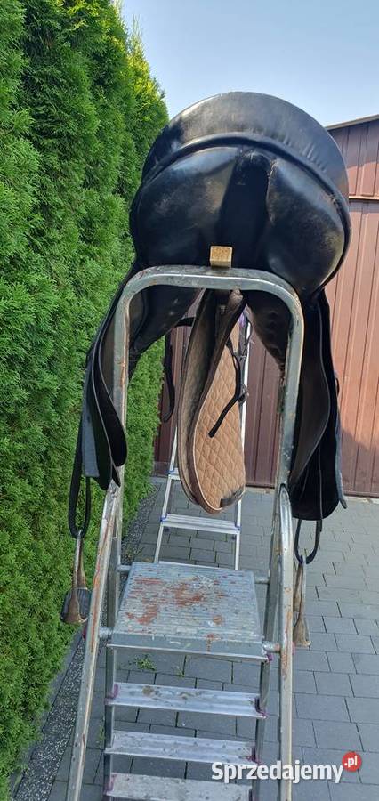 Siodło Zestaw Do Jazdy Konnej Szczebrzeszyn