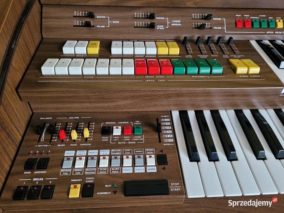 Organy ELKA E39 Międzychód