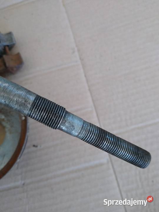 Żak ryś komar pozostałość prl Kruszwica