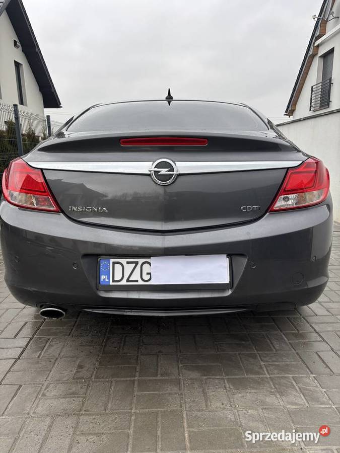 Opel Insignia Bogatynia