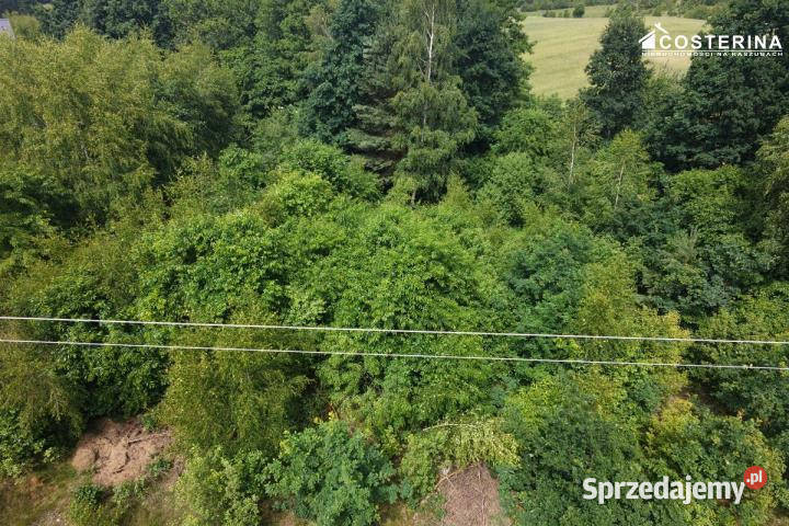 Działka do sprzedania 1147m2 Dziemiany Piechowice