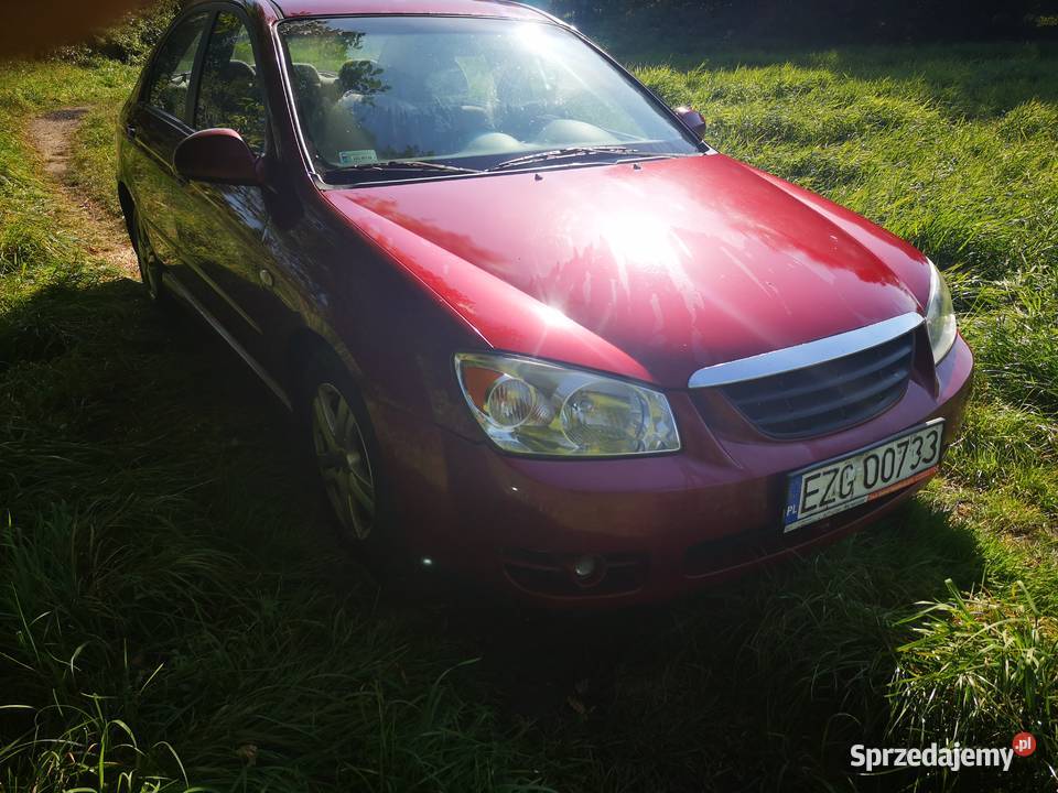 Kia Cerato 16 crdi Pabianice