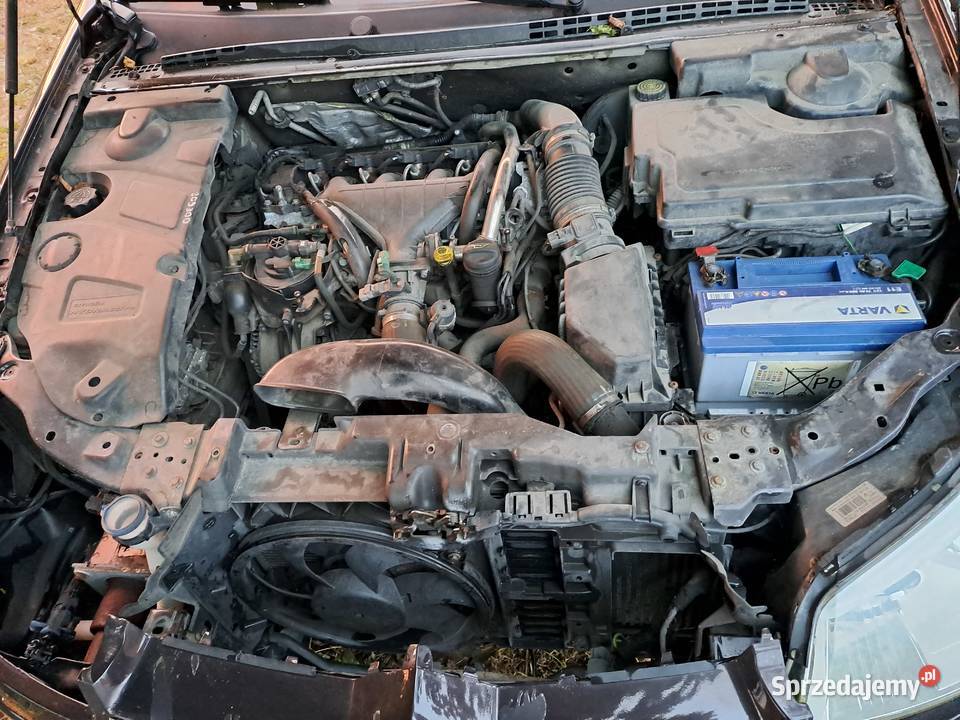 CITROEN C5 05r 20 HDI exclusive Myślibórz
