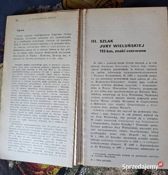 Orle gniazda i krajobrazy jurajskie Julian przewodnik