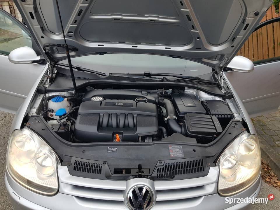 VW GOLF V 16B Mpi OPŁACONY Z NIEMIEC FULL STAN ABS Końskie sprzedam