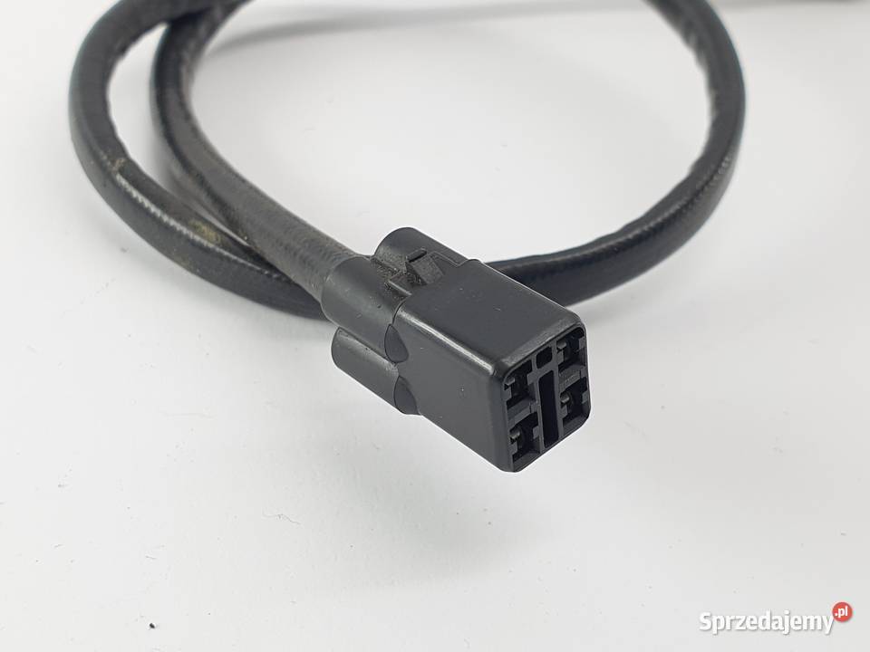 Sonda Triumph Tiger Explorer 1200 Łódź