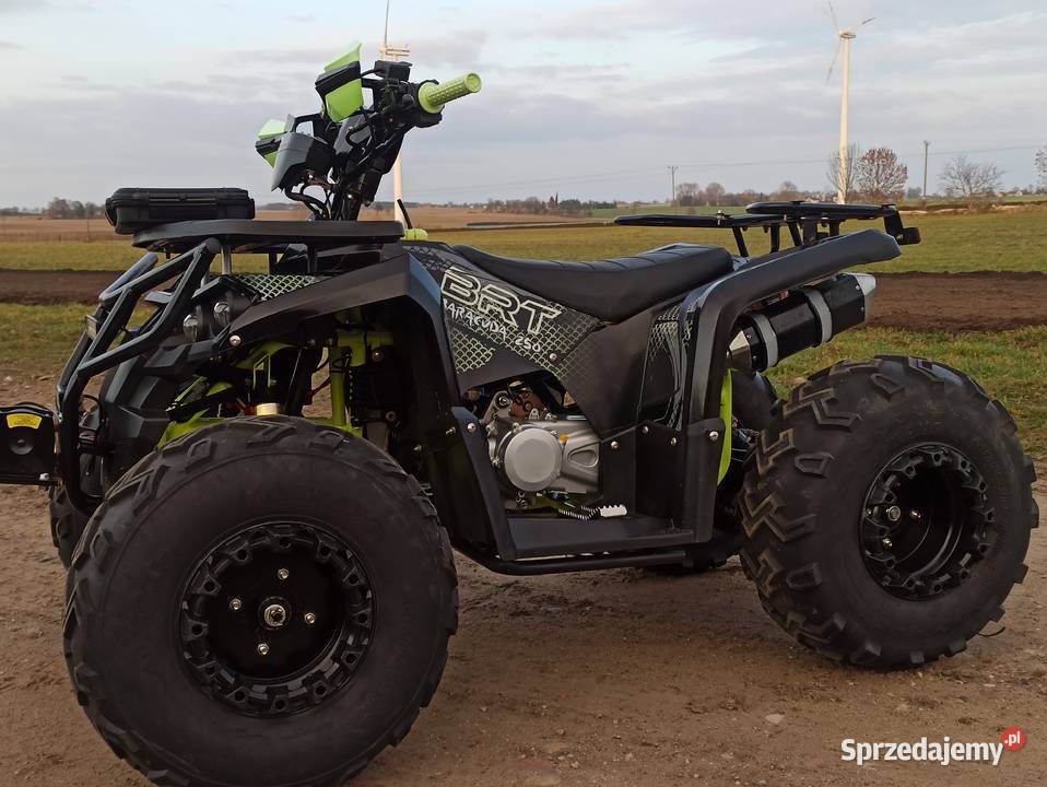 Quad 250 BARACUDA automat 1Rkoła 10 stan nowy 250cm3 Piotrków Kujawski sprzedam