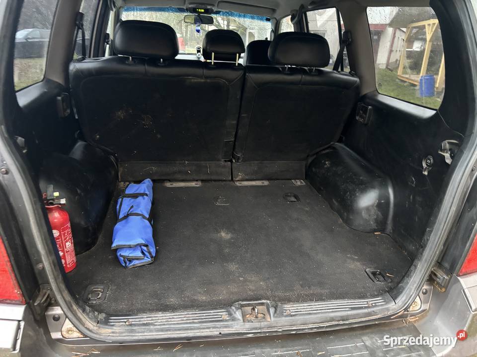 Hyundai Terracan Terracan lubelskie Susiec sprzedam