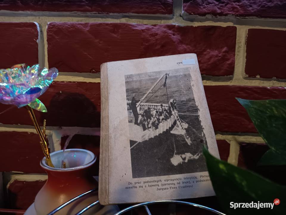 Miniatury Morskie Skarbiec Posejdona Andrzej Bydgoszcz