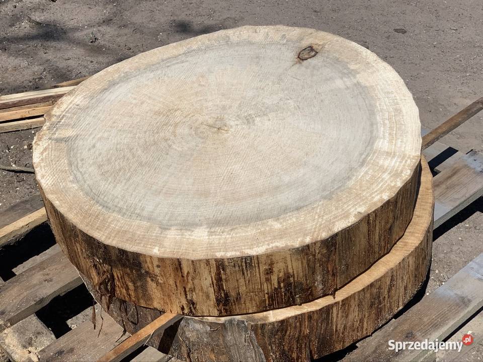 Plastry krążki z topola drewniane na stolik