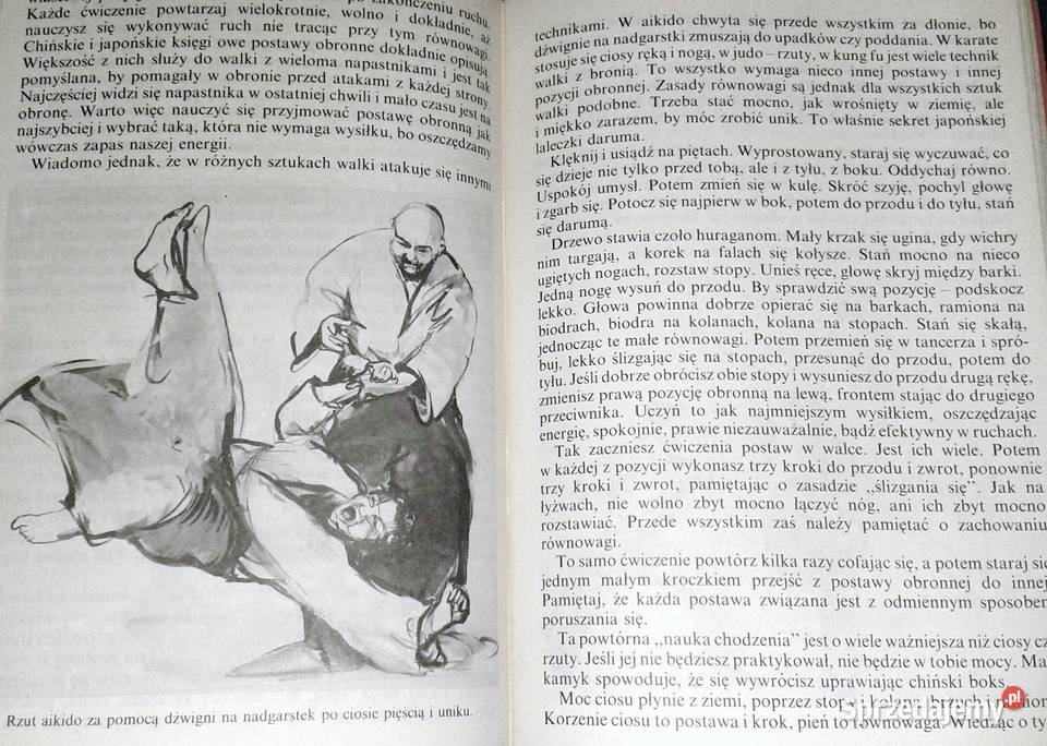 Moc Erniego Stanisław Tokarski Chełm