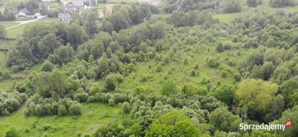 Włosań działka rolna 49 arów