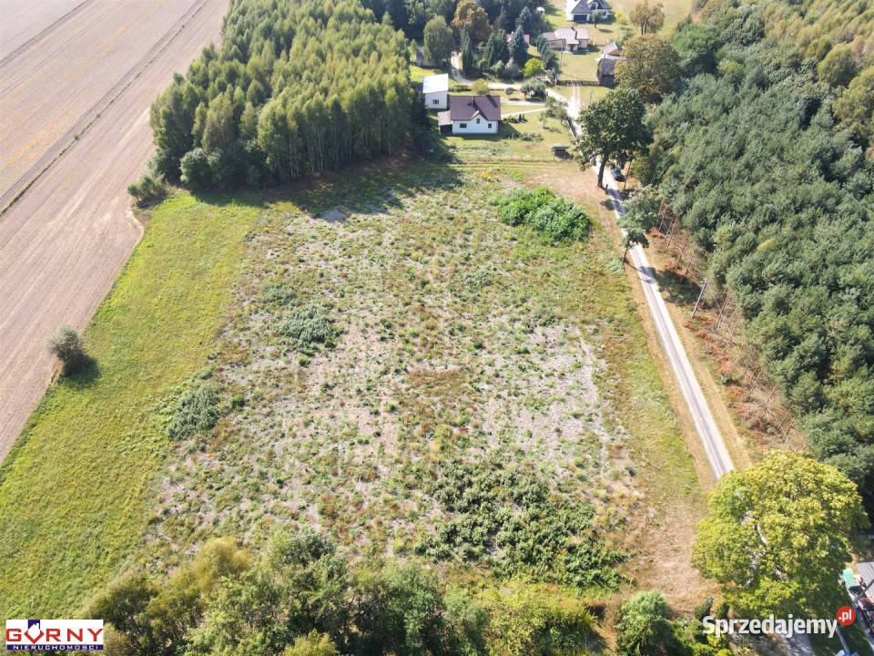 Działka 7400m2 Mniszków