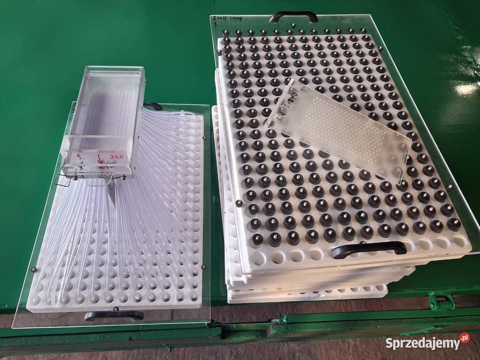 Sprzedam siewnik z multiplatami na 240 komórek Pozostałe świętokrzyskie Jędrzejów