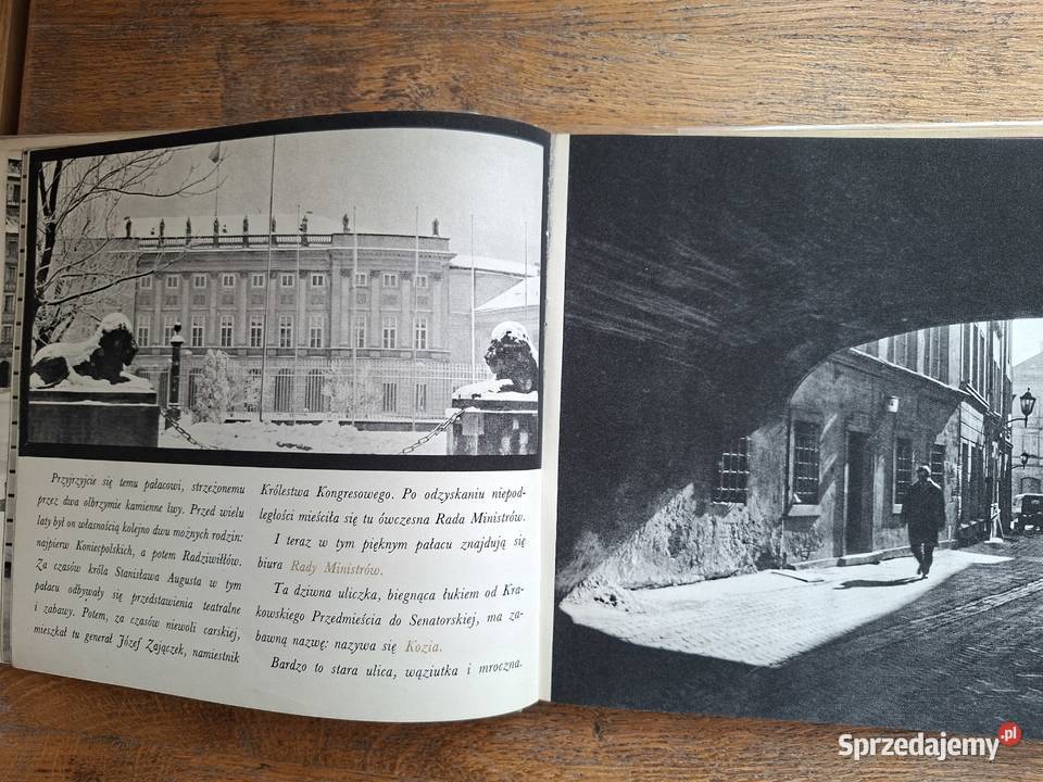 Wędrówki Warszawie K Beylin J Styczyński Kraków