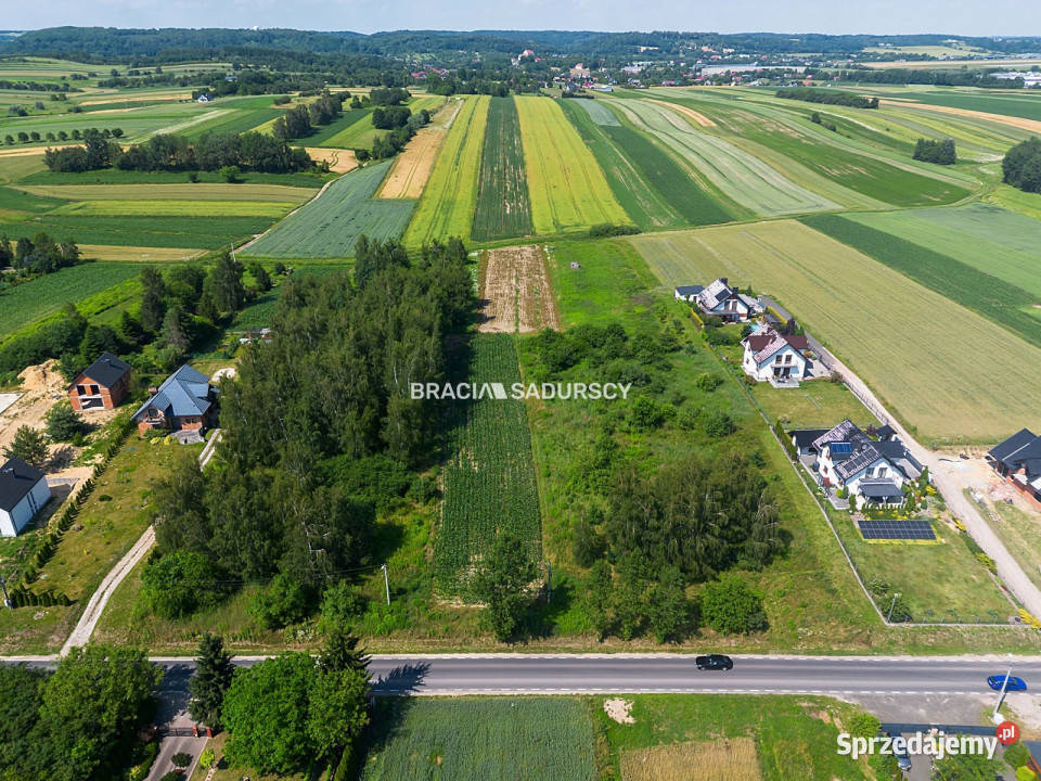 sprzedaży działki Cholerzyn 5800m2 sprzedam