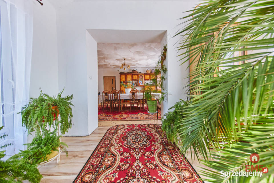 Dom wolnostojący 400 metrów Olszanka podlaskie sprzedam