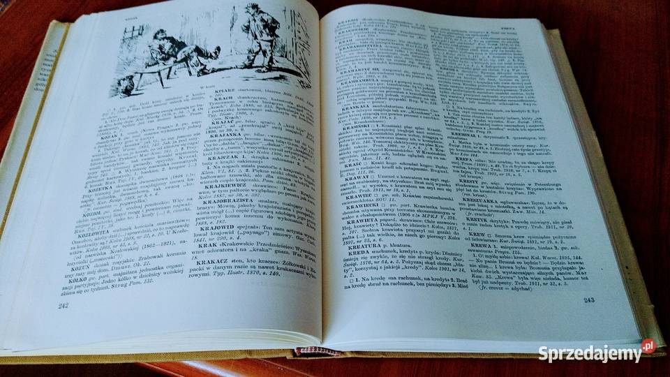 Słownik gwary warszawskiej XIX wieku Bronisław Gdańsk sprzedam