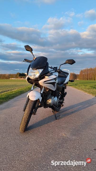 Honda CBF 125150 biały Chełm