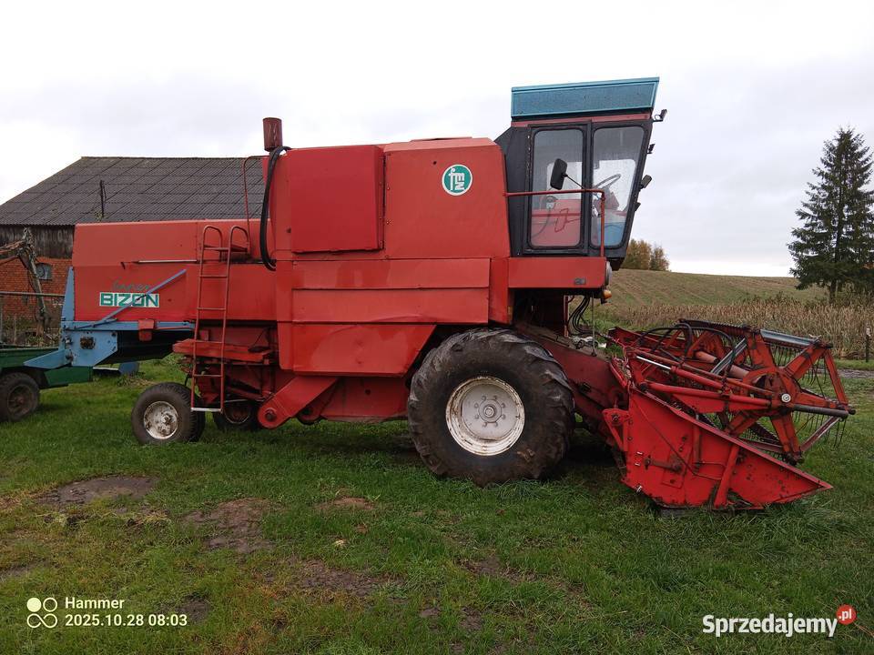 Bizon z056 pomorskie Stary Dzierzgoń