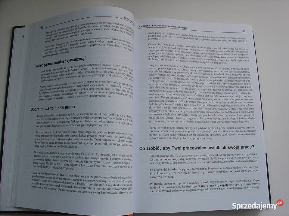 Biblia ebiznesu Praca zbiorowa biznes, praca, prawo, finanse Łódź