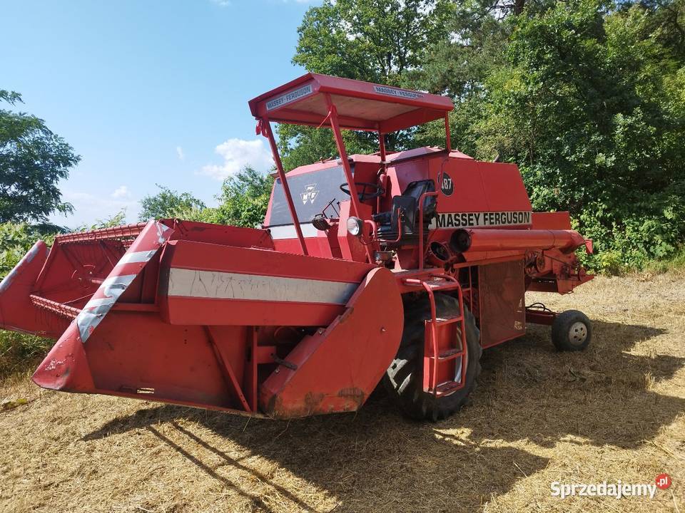 Massey Ferguson 487 Special Wróblowice