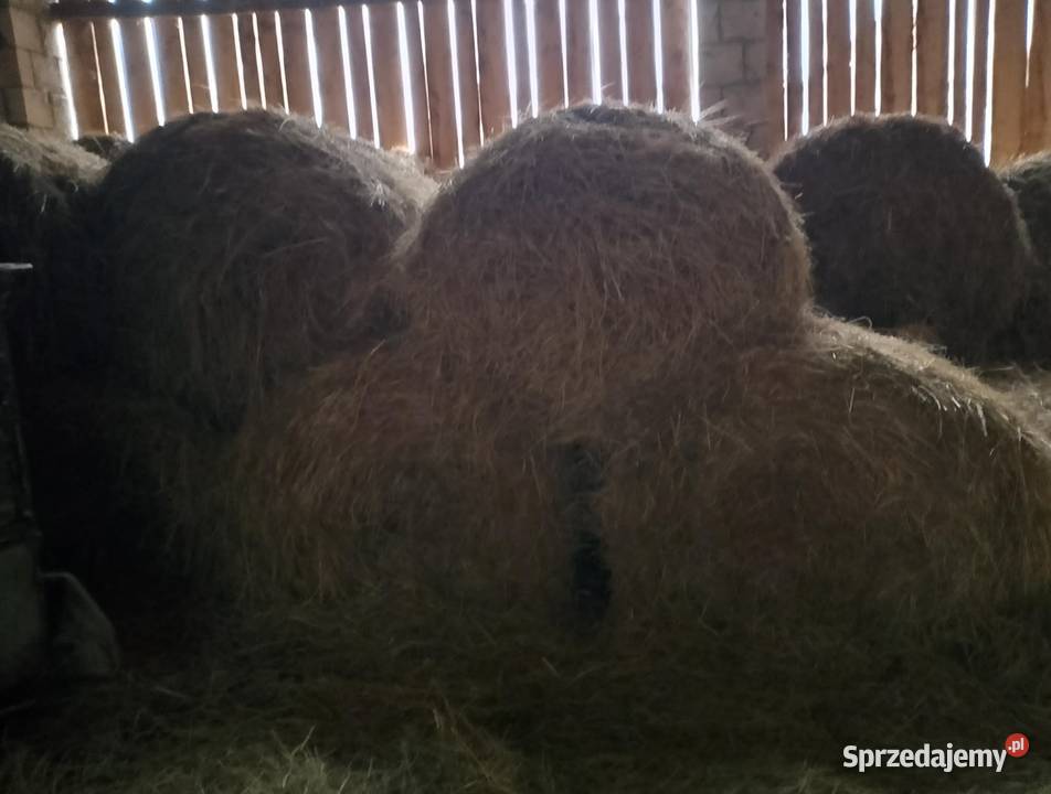 Sprzedam siano świętokrzyskie Bogoria sprzedam