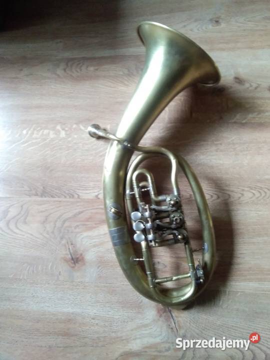 Stary Sakshorn Altowy małopolskie Kraków