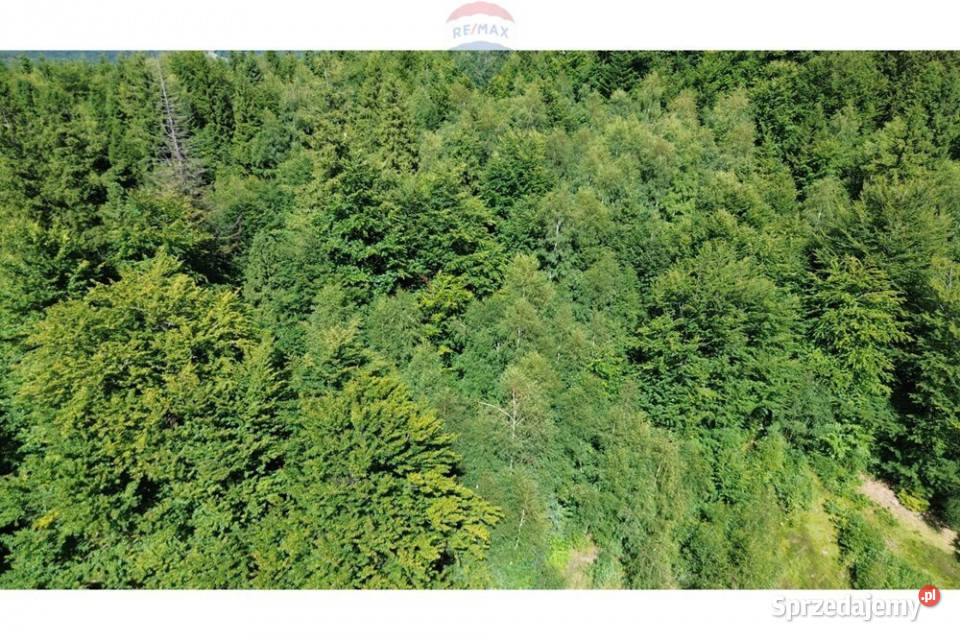 Działka na szczycie Magurki Wilkowickiej Wilkowice