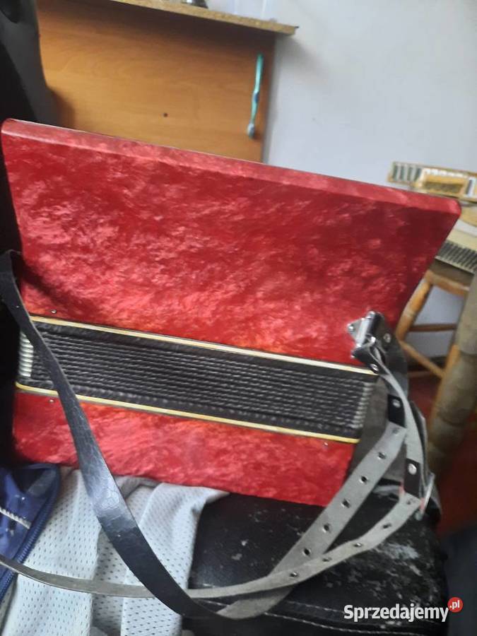 Akordeon Małysz Konin