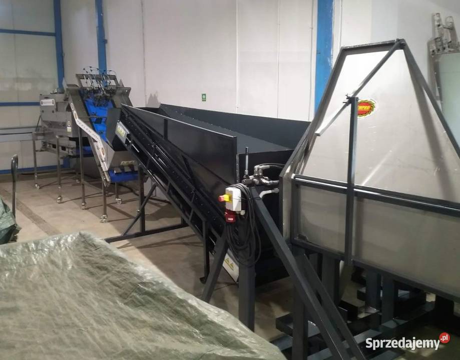 Obieraczka cebuli Empro wielkopolskie Środa Wielkopolska