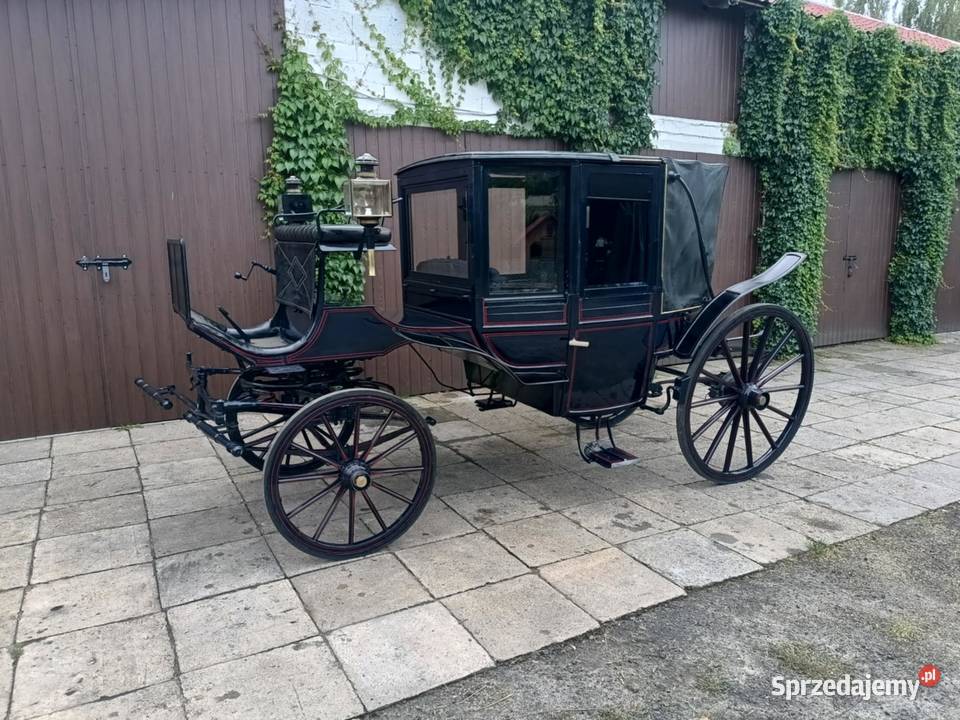 Glaslandauer Granatowy Lando Powóz Bryczka Dobroń