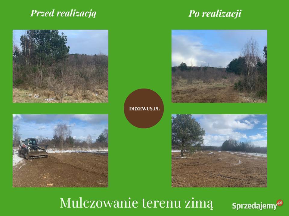 Mulczowanie nieużytków wycinka drzew i krzewów Gdańsk
