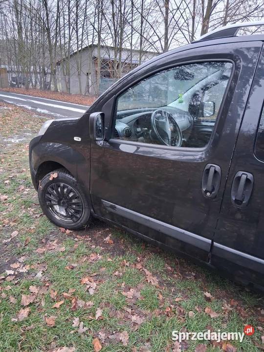 Peugeota bipper wielkopolskie