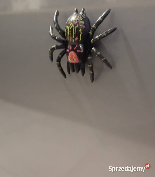 Pająk zsuwający się szybie 85 prank na Halloween Czeladź