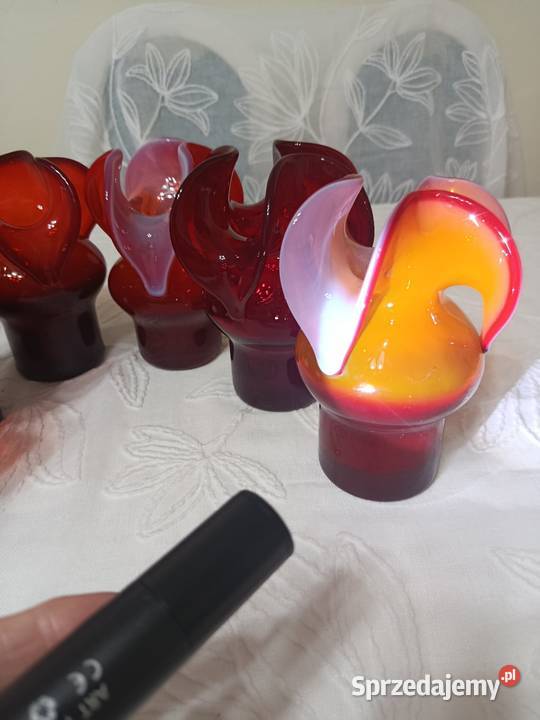 Osiołki CzZubera Warszawa