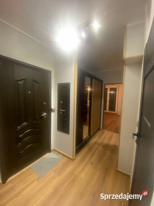 Do wynajęcia mieszkanie 70 m2 w Katowicach Wynajem Katowice