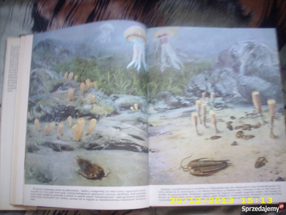 Zanim pojawił się człowiek zachodniopomorskie Goleniów