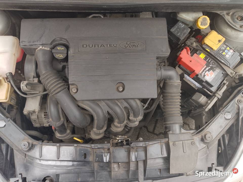Sprzedam Ford Fiesta 2003 125 garażowany wielkopolskie Gostyń