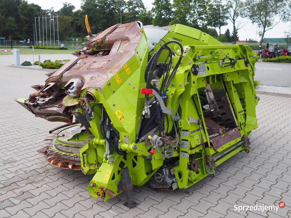 Claas Orbis 600 SD Przystawka do kukurydzy heder Stęszew