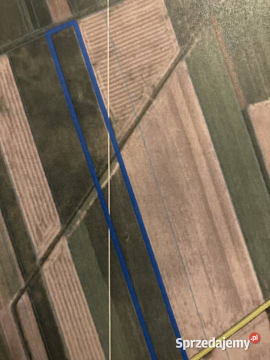 Sprzedam ziemię na obszarze CPK gmina miasto Nowy Drzewicz