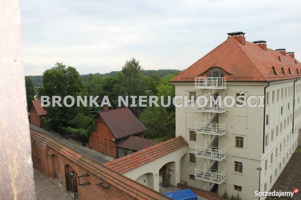 lokal Toruń Stare Miasto