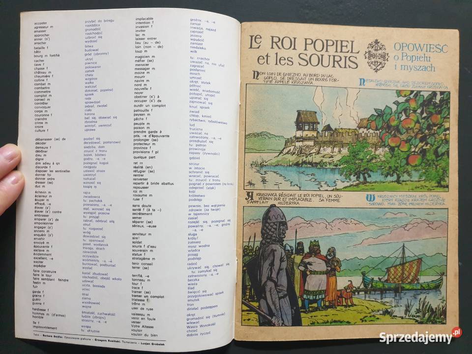 Opowieść o Popielu i Myszach jęz francuski Gdynia