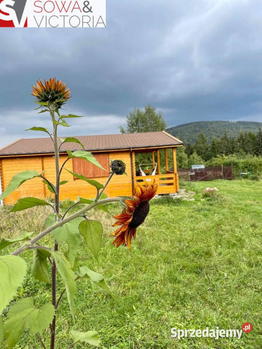 Domek rekreacyjny na działce 2000 m2 Sierpnicy Sierpnica