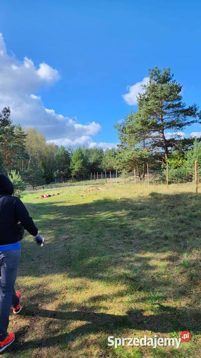 Na sprzedaż działka budowlana Ogrodzieniec