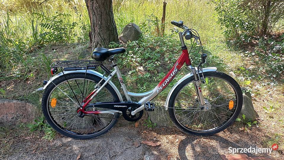 Alu Rower Miejski Damski Młodzieżowy Damka Wołów