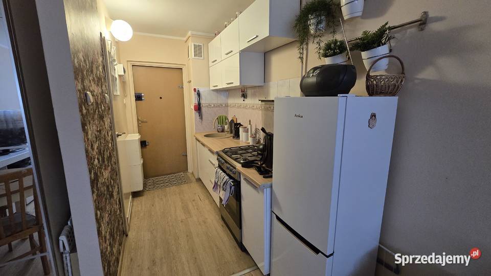 Mieszkanie 245m Bielany Warszawa