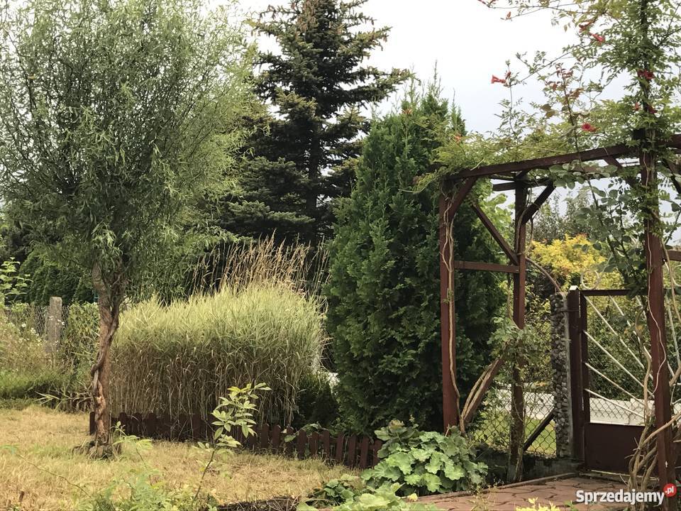 Działka Ogrodowa Wyspa Pucka Szczecin