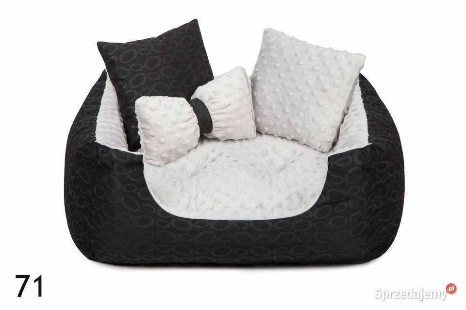 Nowe legowisko zwierząt Częstochowa